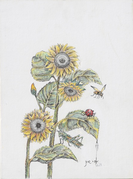 Sunflower  H 40 cm x  W 30 cm Colored Pencils & Ink